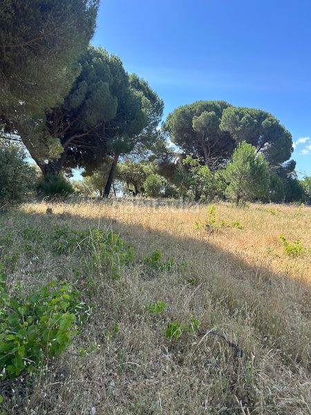 Foto c6afcae4-dd4b-479a-98e8-d066e3dd9770. Finca rústica a Cenicientos