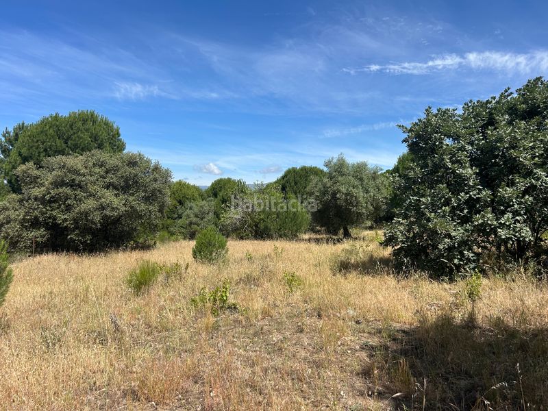 Foto d5992912-7148-4246-8200-d4e0f15c9bf0. Finca rústica a Cenicientos