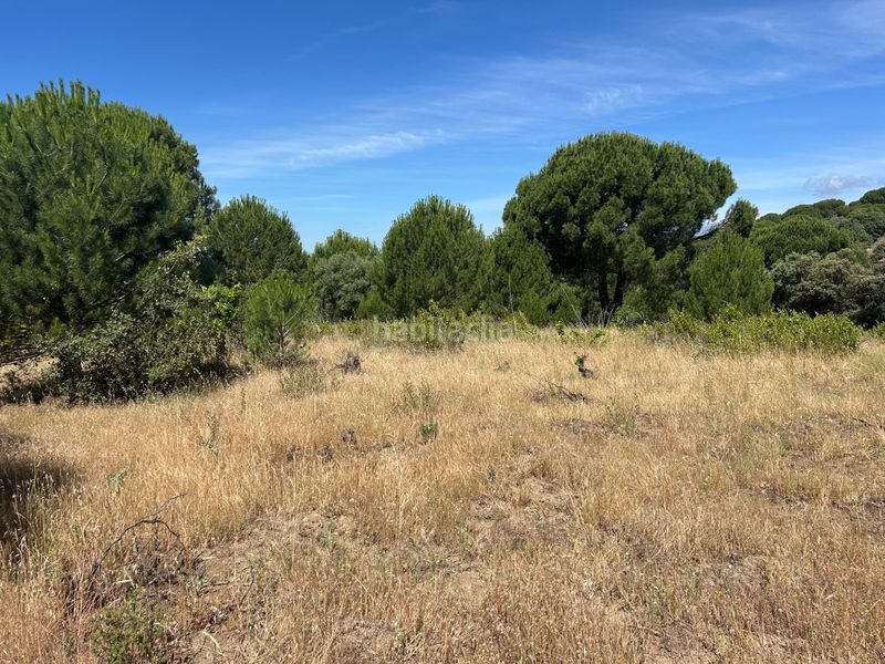 Foto e106ef24-2508-4558-b338-ba4a851f17e5. Finca rústica a Cenicientos