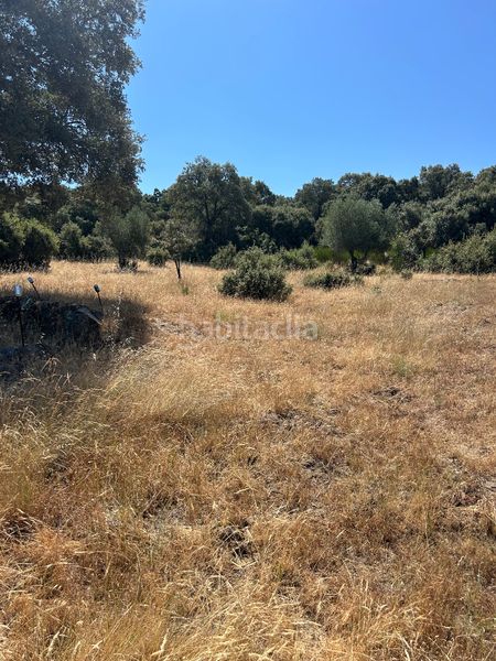 Foto 3d485822-c234-4d77-b0c6-123a88ac65a2. Finca rústica a Cenicientos