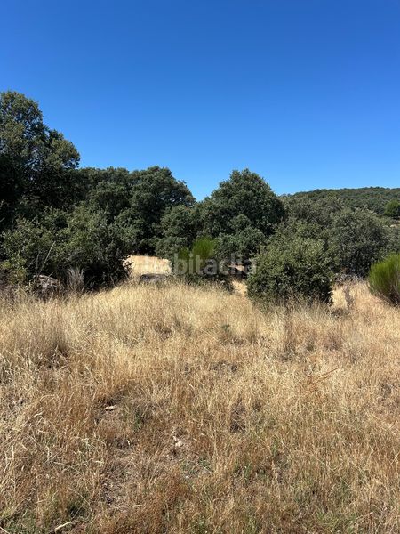 Foto a8f5a8e8-b92c-4ca1-a4e3-0a2a7d2f6d30. Finca rústica a Cenicientos