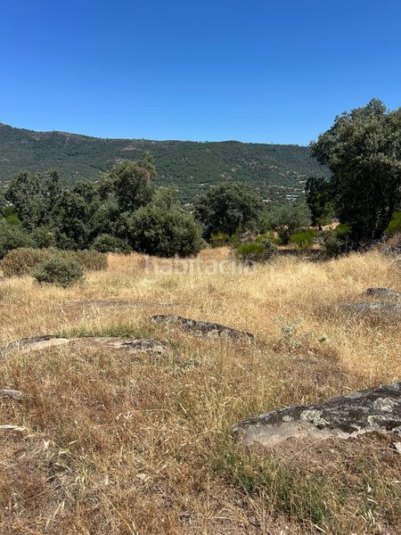 Foto f926bd85-cc79-4202-b6ae-e36f6967c097. Finca rústica a Cenicientos