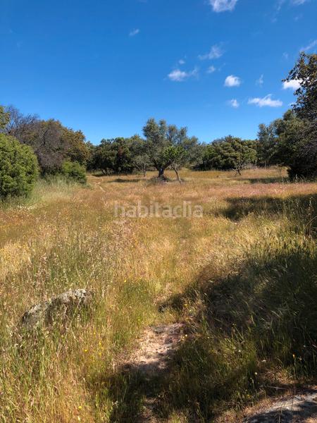 Foto 2663ad16-6d03-4ca3-be27-e15aa950711e. Finca rústica  en Cenicientos