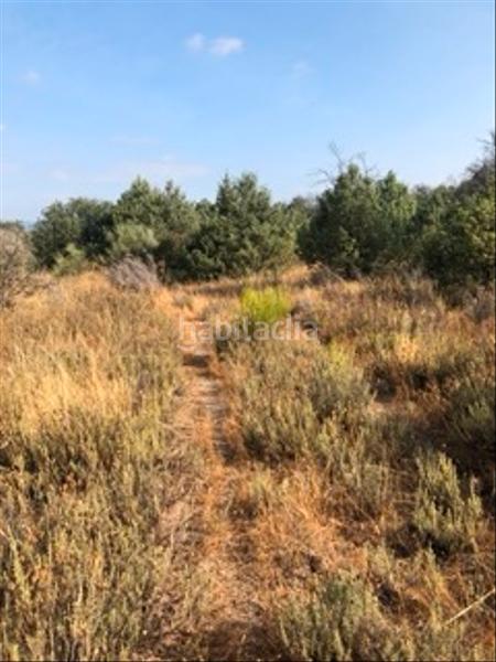 Foto 159d21af-ae73-4255-96a6-e675a74d1628. Fondo rustico in Cenicientos