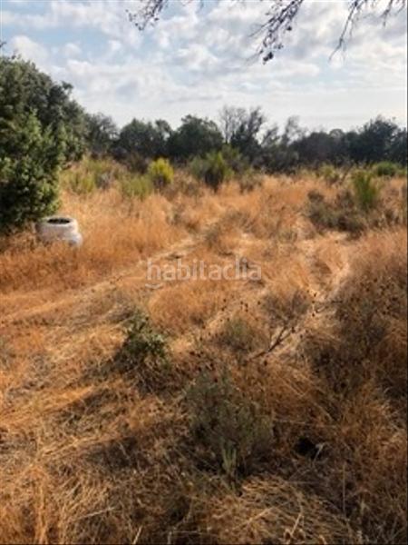 Foto 2af658ea-f4c4-4246-aa5f-b1b521c34474. Fondo rustico in Cenicientos