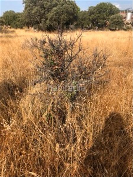 Foto d8865bb7-c66e-49c9-ae51-442d8f64a72f. Fondo rustico in Cenicientos