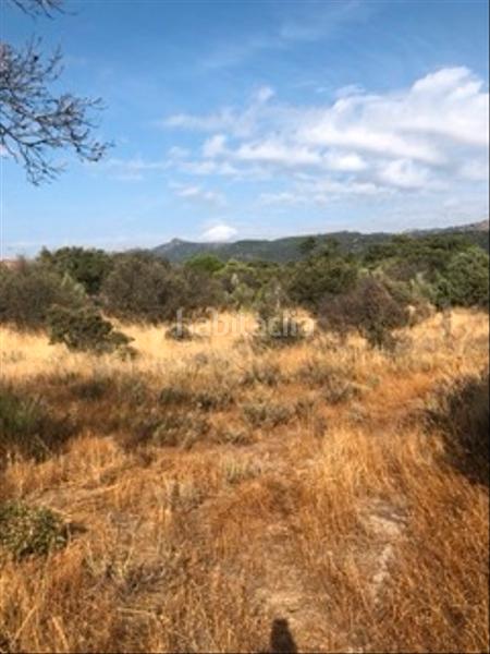 Foto df0587e1-11a5-4424-9f79-dcc78d7f4a43. Fondo rustico in Cenicientos