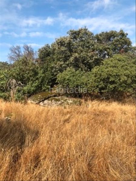 Foto f3be47a7-dc53-4030-8ef5-3b24df2ec842. Fondo rustico in Cenicientos