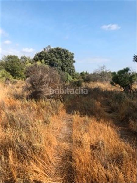 Foto f753f6a1-273b-4333-9aa5-98f3e27a7f7d. Fondo rustico in Cenicientos