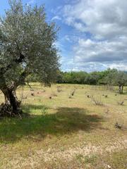 Propriété  Plaza las ventillas. Finca el pastizal sotillo de la adrada