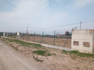 Finca rústica a Alberite. Terreno en alberite vallado con muro de hormigon