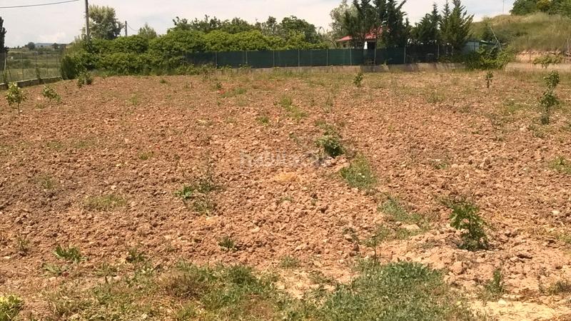 Foto 357594f5-7d52-4cca-ace5-4fb285bb2190. Fondo rustico in Lardero