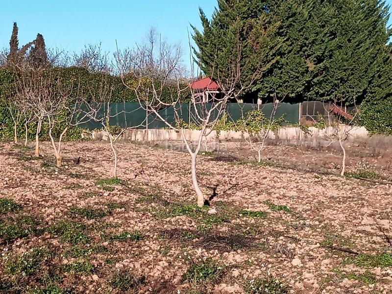 Foto e6495e53-e043-4c81-972e-b98c2e3b03a0. Fondo rustico in Lardero