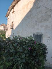 Casa a Viguera. Casa en viguera