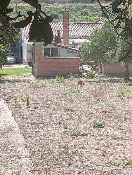 Foto b8139052-88bf-4279-bbe5-f7a480fd4e18. Chalet con riscaldamento piscina in Oeste Logroño