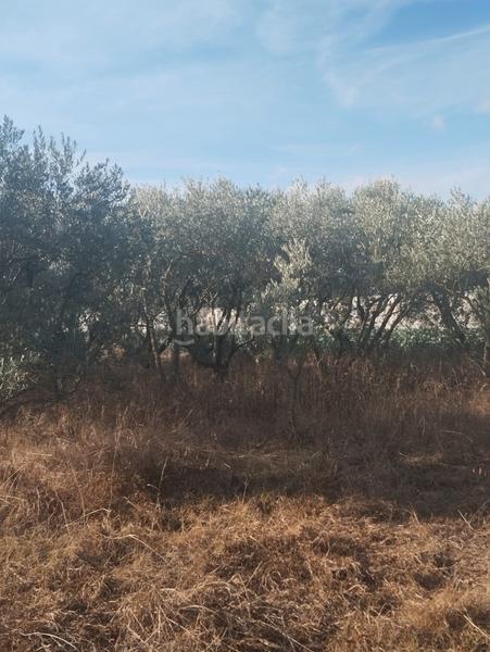 Foto 097be60f-d7fb-4cf7-a5ee-15065852d04e. Landgut in La Portalada - Varea Logroño