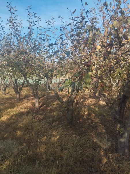 Foto 650aec10-b56c-49ee-8e72-f97c76ef9a55. Landgut in La Portalada - Varea Logroño