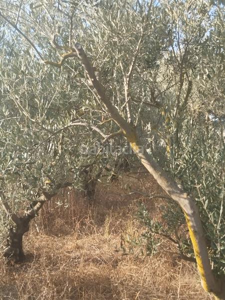 Foto 7b1a797f-e6fb-4f46-9e22-87d3b9c4481c. Landgut in La Portalada - Varea Logroño