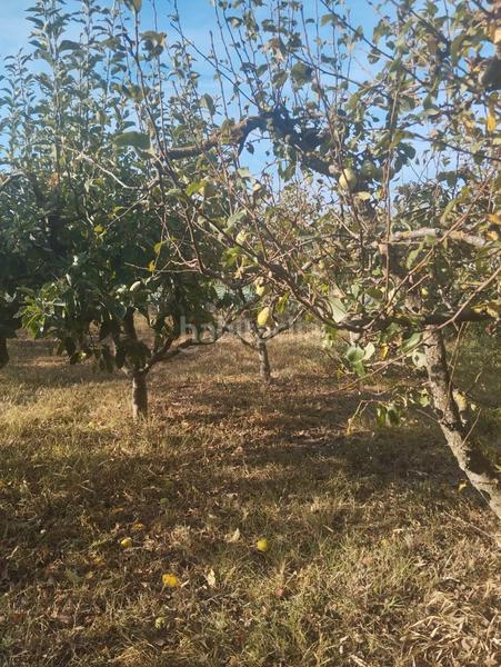Foto e500b2e9-c59b-42ed-959a-a9074a35eba6. Landgut in La Portalada - Varea Logroño