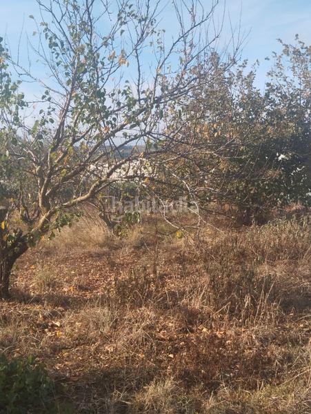 Foto efb4680d-8156-4583-8ac8-af148ea8b591. Landgut in La Portalada - Varea Logroño