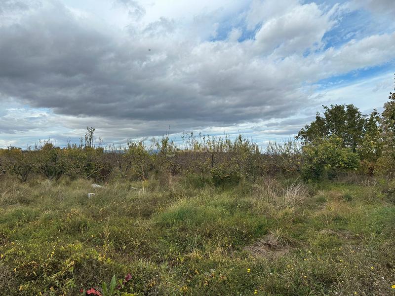 Foto 1c060b59-ccda-4341-ba0b-996b9b0b700b. Finca rústica a Albelda de Iregua