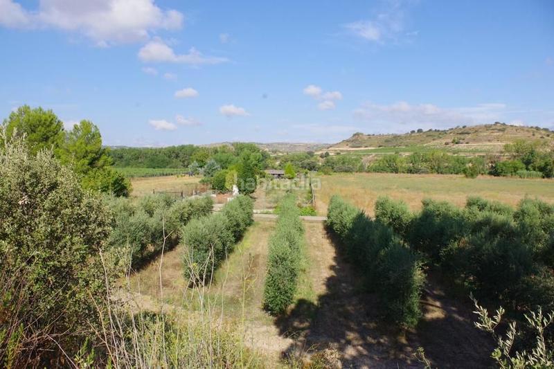 Foto bb88d3a4-d918-4f77-92c1-566d8c99a32d. Terreno residencial en El Cortijo Logroño