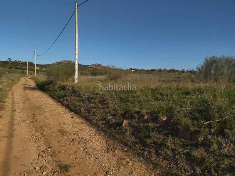 Foto 0ece13a5-fd53-4f44-a96b-a196852f8c9e. Finca rústica parcela rustica de secano en Haba (La)