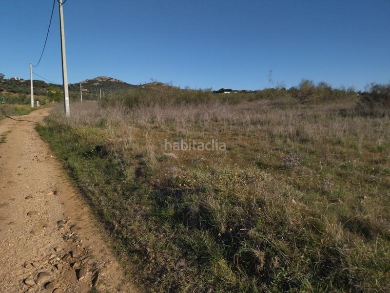 Foto 8508b106-629c-422c-8a9b-d54b8867e7a1. Finca rústica parcela rustica de secano en Haba (La)