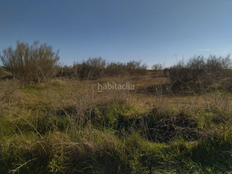 Foto d54699ac-64ff-47ae-ae5d-3c9bc763302c. Finca rústica parcela rustica de secano en Haba (La)