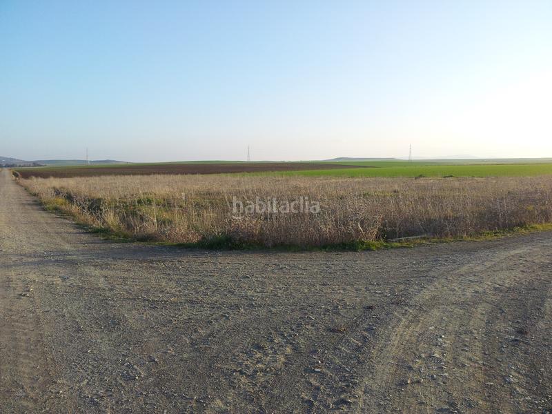 Foto 0bb8728a-faba-46e3-a581-06d637435bf6. Fondo rustico in Haba (La)