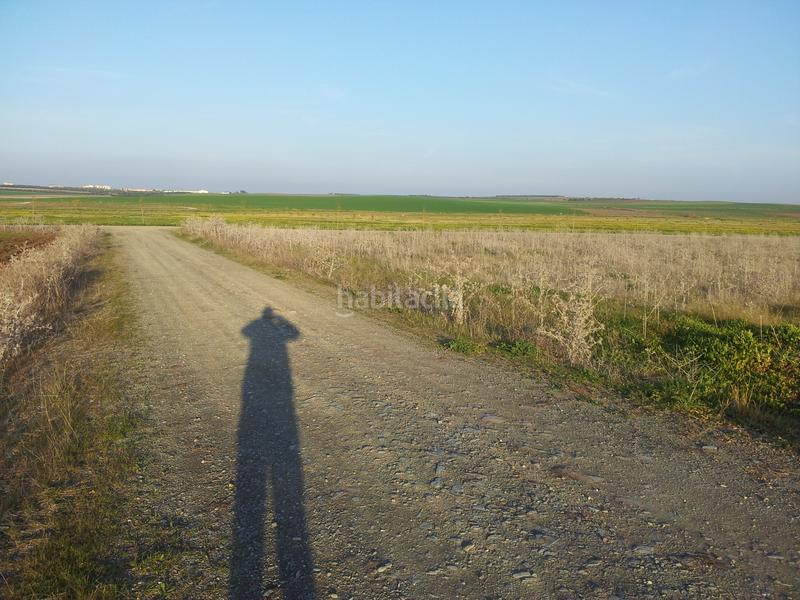 Foto 82410097-4c6d-4fc4-9cd7-5aeb8609df43. Fondo rustico in Haba (La)