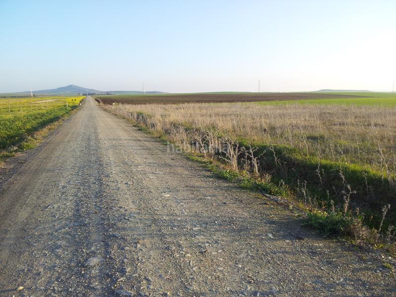 Foto 83822894-dece-4cbc-918e-e85c9775fc44. Fondo rustico in Haba (La)