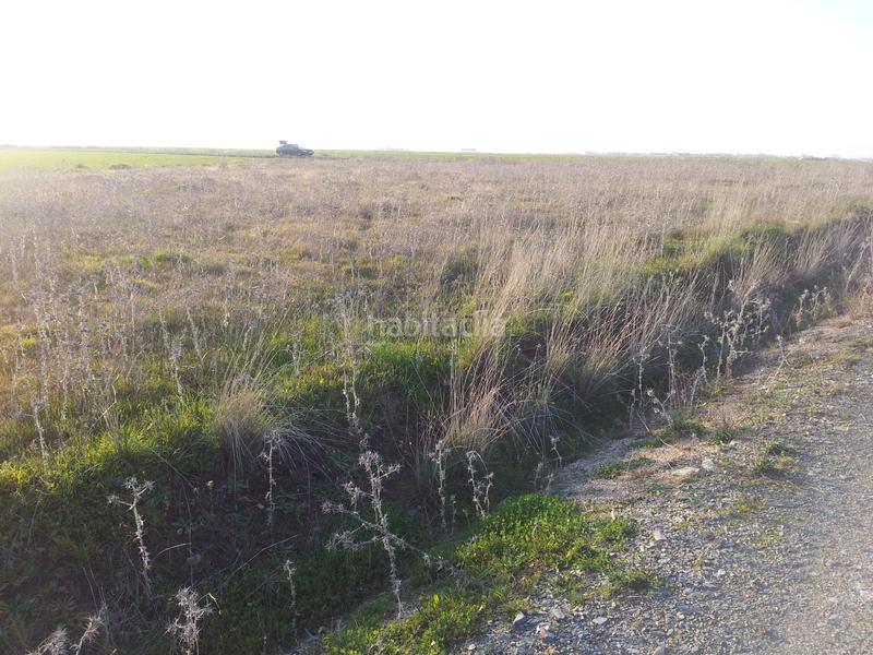 Foto a077876e-7996-47f6-a0fe-61ac73f1ee38. Fondo rustico in Haba (La)