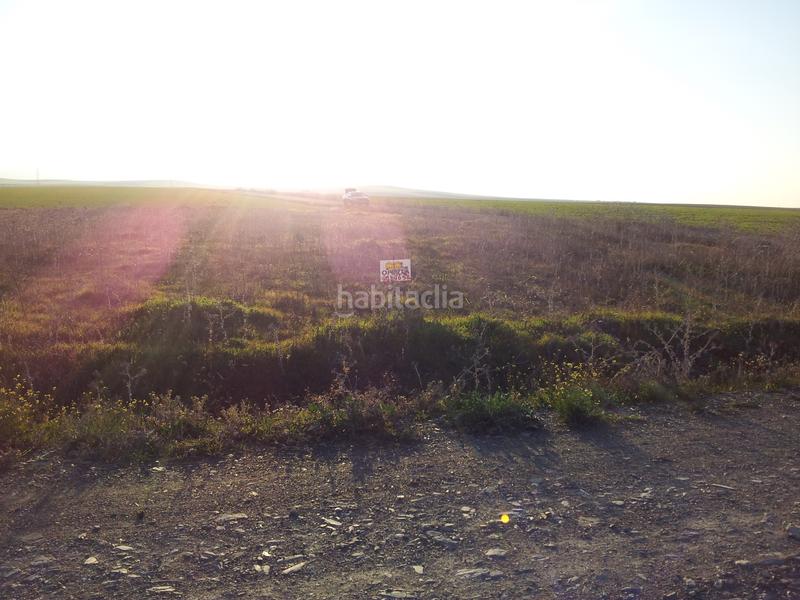 Foto abcf35f0-d4f8-46e6-b898-7c00a44b9468. Fondo rustico in Haba (La)