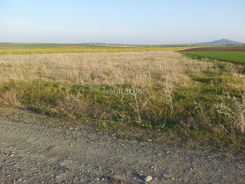 Foto df342937-9883-4878-b5b4-21a8e2da7b3f. Fondo rustico in Haba (La)