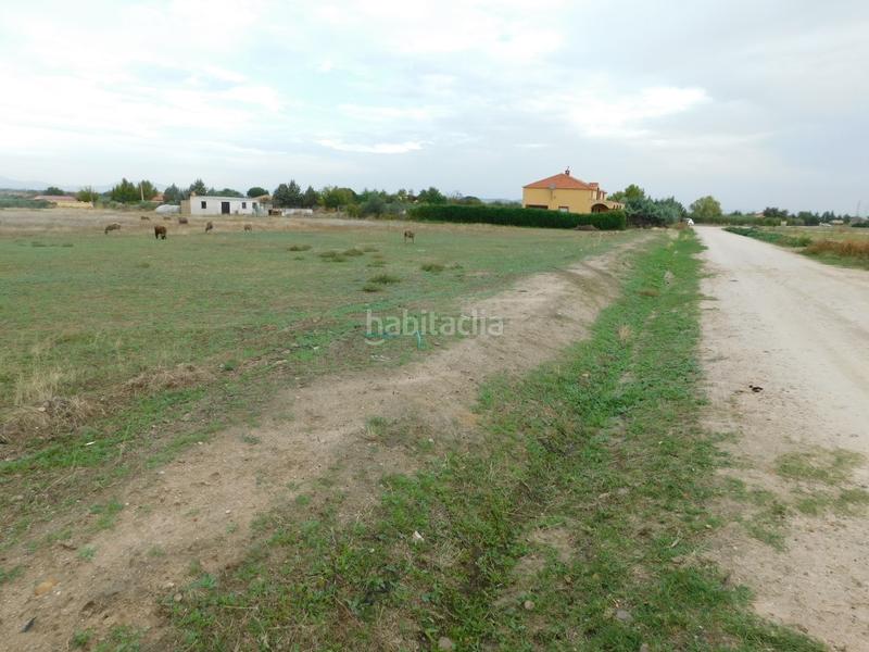 Foto 1a91e2c6-fb43-4afe-ab25-6ca28f978191. Finca rústica a Don Benito