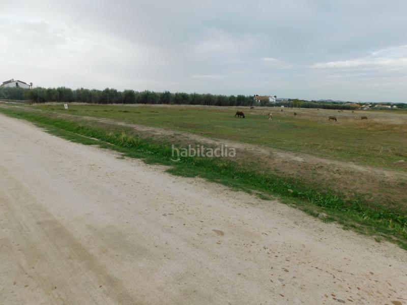 Foto 7395b5fb-53e8-4a8f-bc61-00e962a4d50b. Finca rústica a Don Benito