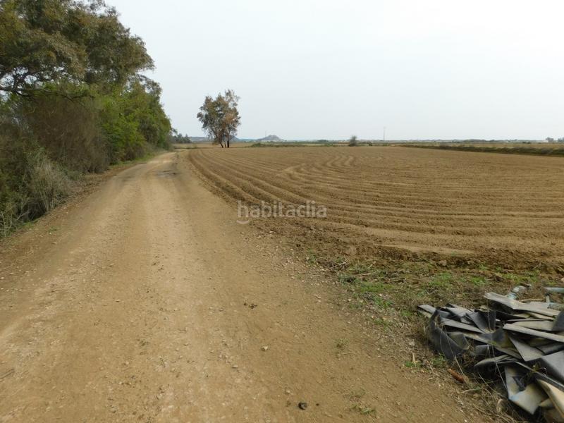 Foto d3dea6f5-628f-4e34-9ba2-07435f591e5b. Finca rústica a Medellín