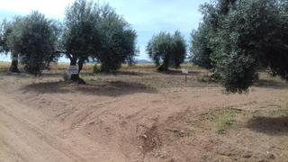 Finca rústica a Don Benito. Finca rustica en venta