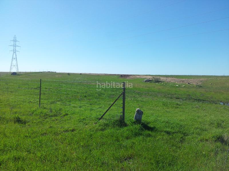 Foto b0519133-e48a-4f01-b9a8-22c6e07f3c6d. Finca rústica a Don Benito