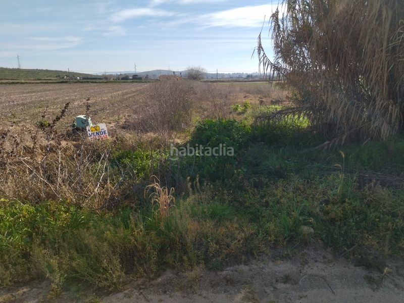 Foto 4c5170a8-3234-43a3-9077-29761dd57c49. Finca rústica a Villanueva de la Serena