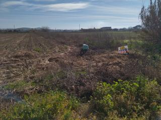 Finca rústica a Villanueva de la Serena. Parcela rustica en villanueva