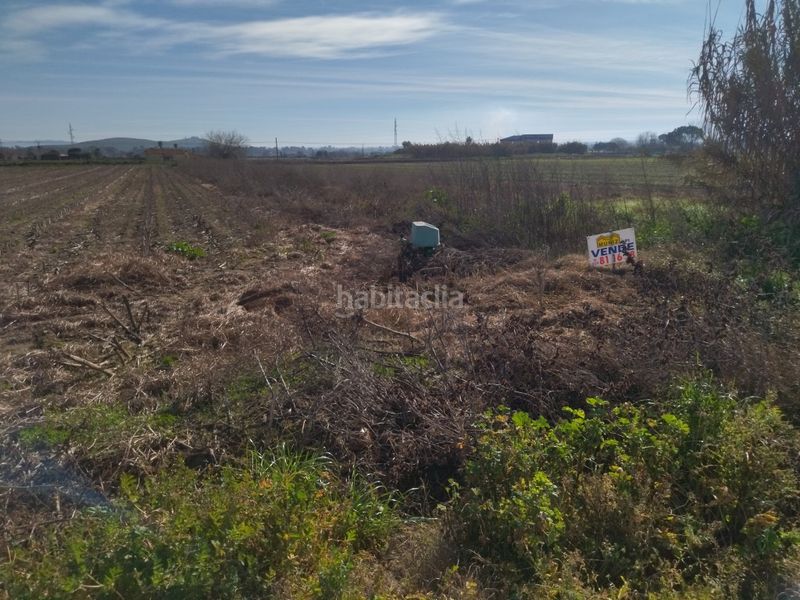Foto a09ca01a-dc31-418d-b93b-4438063886b4. Finca rústica a Villanueva de la Serena