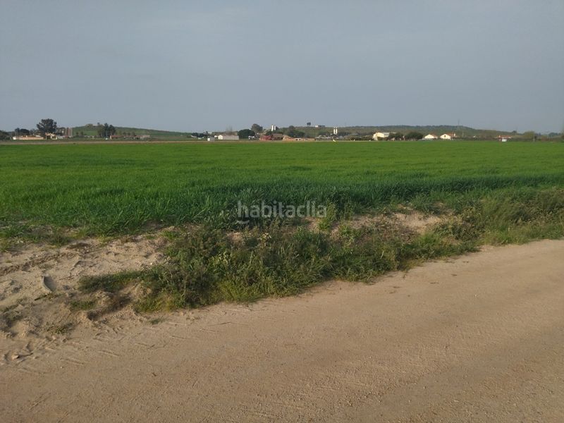 Foto 01856470-39e2-4323-bbd0-8a60a60d1e43. Finca rústica a Villanueva de la Serena