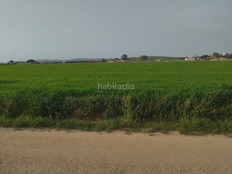 Foto da3f6b67-95d9-4443-82b1-717bd2c939d7. Finca rústica a Villanueva de la Serena