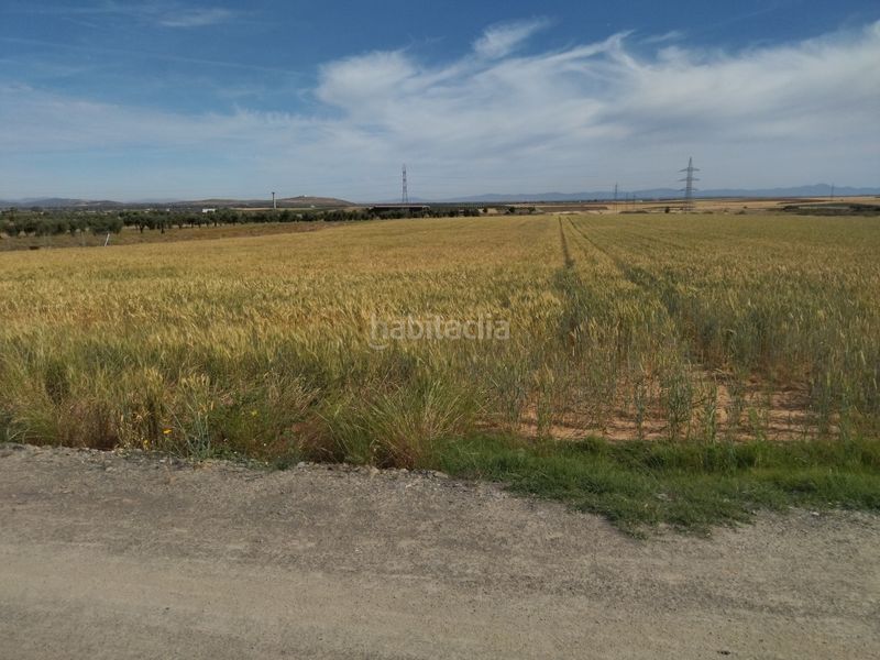 Foto 1c4ac235-ddea-439a-b49e-1b32b7c32db8. Finca rústica a Villanueva de la Serena