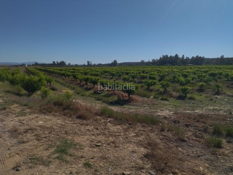 Foto 0556bac5-e7b1-4227-b985-c06f24cfe14a. Finca rústica a Campo Lugar