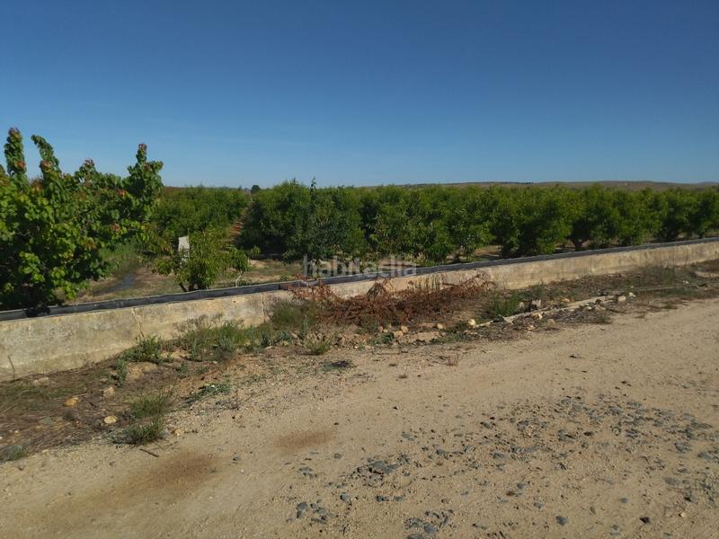 Foto 384d6802-1a9b-42b8-ae5a-b2f89b20c789. Finca rústica a Campo Lugar
