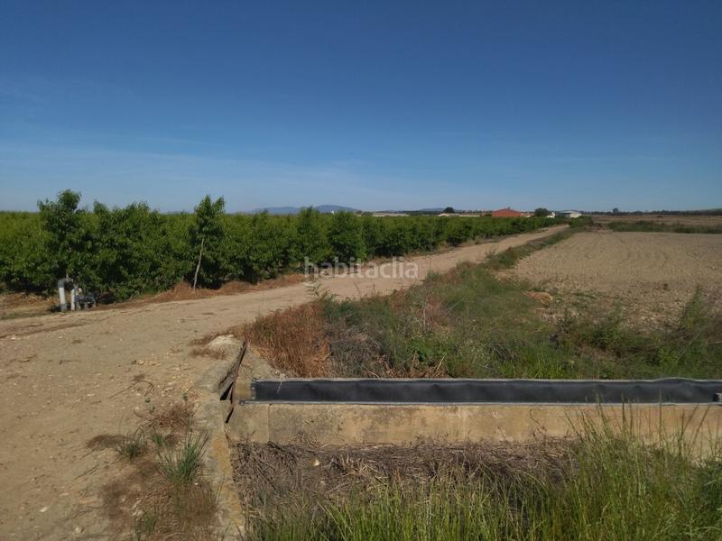 Foto 6bab9f34-f83c-40b4-a7b5-9255b409d483. Finca rústica a Campo Lugar
