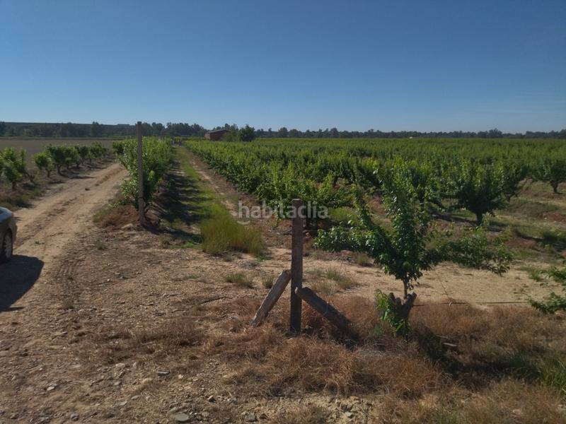Foto 9f041ee4-ab66-415a-934e-b7f02ec40673. Finca rústica a Campo Lugar